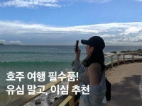 유심 | 검색결과 - zum 허브