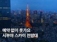 스카이 | 검색결과 - zum 허브