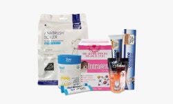 기획전 > 반려동물 건강관리 기획전  - 이마트몰, 당신과 가장 가까운 이마트 반려동물 건강관리 기획전 