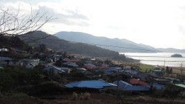 소안면 두번째 365일 나라사랑 태극기 마을(이목마을) - 완도군