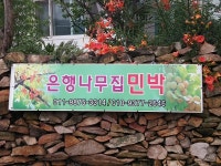 완도관광문화 >은행나무집 민박 은행나무집 민박