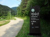 검마산자연휴양림 입구 - 영양문화관광 포토갤러리