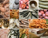 해산물  