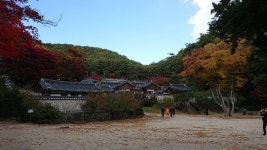 역사와 함께 하는 안동 여행기 (3) : 도산서원 1 | 두피디아 여행기 두피디아 여행기-역사와 함께 하는 안동 여행기 (3) : 도산서원 1