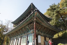 벌목업(대광중기) | 마곡사#1_산사, 한국의 산지 승원 | 두피디아 여행기 두피디아 여행기-마곡사#1_산사, 한국의 산지 승원