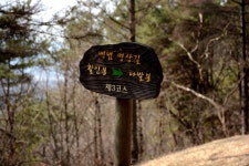 2. 승지선원, 국지대찰 : 공주 마곡사, 양산 통도사 | 두피디아 여행기 두피디아 여행기-2. 승지선원, 국지대찰 : 공주 마곡사, 양산 통도사