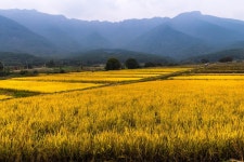 2. 승지선원, 국지대찰 : 공주 마곡사, 양산 통도사 | 두피디아 여행기 두피디아 여행기-2. 승지선원, 국지대찰 : 공주 마곡사, 양산 통도사