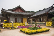 2. 승지선원, 국지대찰 : 공주 마곡사, 양산 통도사 | 두피디아 여행기 두피디아 여행기-2. 승지선원, 국지대찰 : 공주 마곡사, 양산 통도사