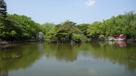 여인을 위한 공간, 창경궁 (4) | 두피디아 여행기 두피디아 여행기-여인을 위한 공간, 창경궁 (4)