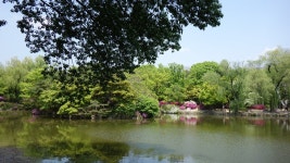 여인을 위한 공간, 창경궁 (4) | 두피디아 여행기 두피디아 여행기-여인을 위한 공간, 창경궁 (4)