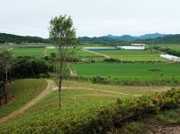 치열했던 백마고지 전적지를 돌아보며 | 두피디아 여행기 두피디아 여행기-치열했던 백마고지 전적지를 돌아보며