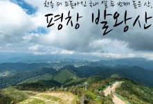 한층 더 드높아진 국내 12번째 높은 산, 평창 발왕산 | 두피디아 여행기 두피디아 여행기-한층 더 드높아진 국내 12번째 높은 산, 평창 발왕산