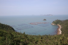 땅끝으로 가다 | 두피디아 여행기 두피디아 여행기-땅끝으로 가다