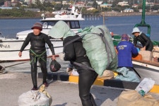 제주 서귀포 위미마을 | 두피디아 여행기 두피디아 여행기-제주 서귀포 위미마을