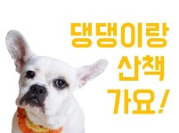 세탁,청소용품 최저가 검색 - 에누리가격비교 생활,취미 > 세탁,청소용품 > 청소도구 > 청소의자 : 에누리 가격비교