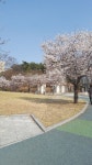 용인 만골근린공원 - 에누리 쇼핑지식 자유게시판 용인 만골근린공원 - 에누리 쇼핑지식