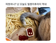 너만 좋으면 다니 .......? - 에누리 쇼핑지식 자유게시판 너만 좋으면 다니 .......? - 에누리 쇼핑지식
