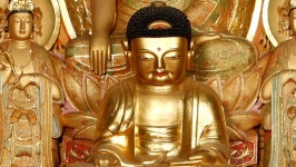 울산시, 신흥사석조아미타여래삼존좌상과 간월사지삼층석탑‘ 유형문화재 고시 | 일요신문 울산시, 신흥사석조아미타여래삼존좌상과... 