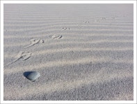 포토에세이 > 내용보기 > Mark :: HeyKorean.com