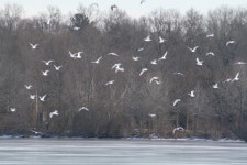 포토에세이 > 내용보기 > 창공날다~~ :: HeyKorean.com