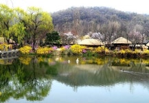 HeyKorean > 미주한인 클럽(옛 추억의 쉼터) > ♡   아름다운 자연 풍경 > 그림같은 봄풍경 옛 추억의 쉼터: HeyKorean 클럽 > 그림같은 봄풍경