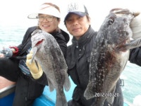 (西)서해조황 - [안흥 성남호]10월20일 우럭 과 광어 좋은 조황으로!!