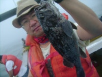 (西)서해조황 - 7월4일안흥성남호조황정보입니다.