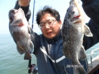 (西)서해조황 - [안흥성남호] 5월첫날 조황정보입니다