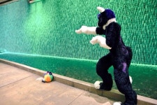 Right Path by Limin -- Fur Affinity [dot] net Right Path by Limin