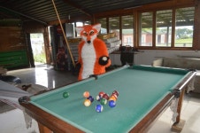 Fursuit by Tigrio_Prulsan_Fursuits -- Fur Affinity [dot] net Fursuit by Tigrio_Prulsan_Fursuits