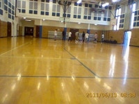 Gymnasium by AlexTheTiger -- Fur Affinity [dot] net Gymnasium by AlexTheTiger