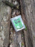 Geocache found! by Nexii_Chrona -- Fur Affinity [dot] net Geocache found! by Nexii_Chrona