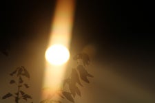 11-16 fire 08-30-2020 (2) by Bon-Bun -- Fur Affinity [dot] net 11-16 fire 08-30-2020 (2) by Bon-Bun