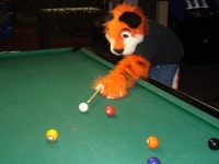 Billiards anyone? =) by Nekomon -- Fur Affinity [dot] net Billiards anyone? =) by Nekomon