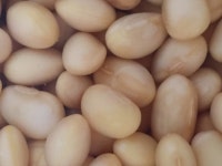 순두부 순두부 