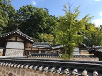 [평화누리길] 뜨겁고 길고 외롭던 파주구간