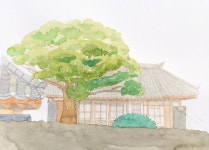 어반스케치 - 제주 신촌향사
