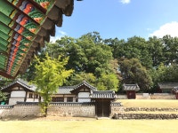 [평화누리길] 뜨겁고 길고 외롭던 파주구간