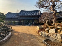 10화 종종 엄마와 점심을 사 먹으러 나간다.