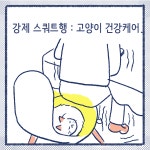 이야기15.고양이 건강케어