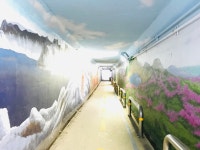 [평화누리길] 산책의 명가, 고양시
