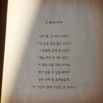 19화 어른이들을 위한 인생 그림책 