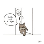 동물 병원 다녀오기