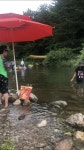 수동계곡