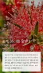폰카, DSLR을 넘보다? 폰토그래프의 도전기