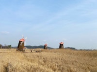 풍차를 방아로 바꿔 주오.