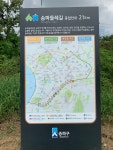 [송파둘레길] 낮고 푸른 도시의 길