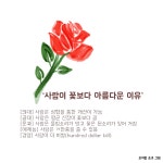 사람이 꽃보다 아름다운 이유