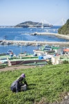 “바다의 영양 그대로, 거문도 해풍쑥”