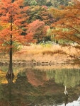 가.을